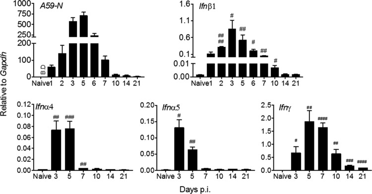 FIG 1