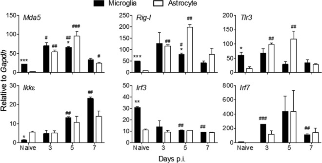 FIG 3