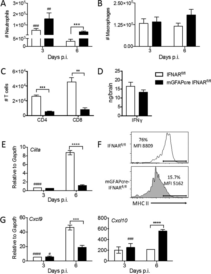 FIG 10