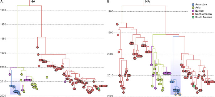 FIG 2