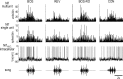 Figure 11.