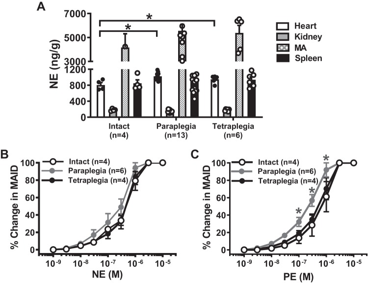 Fig. 8.