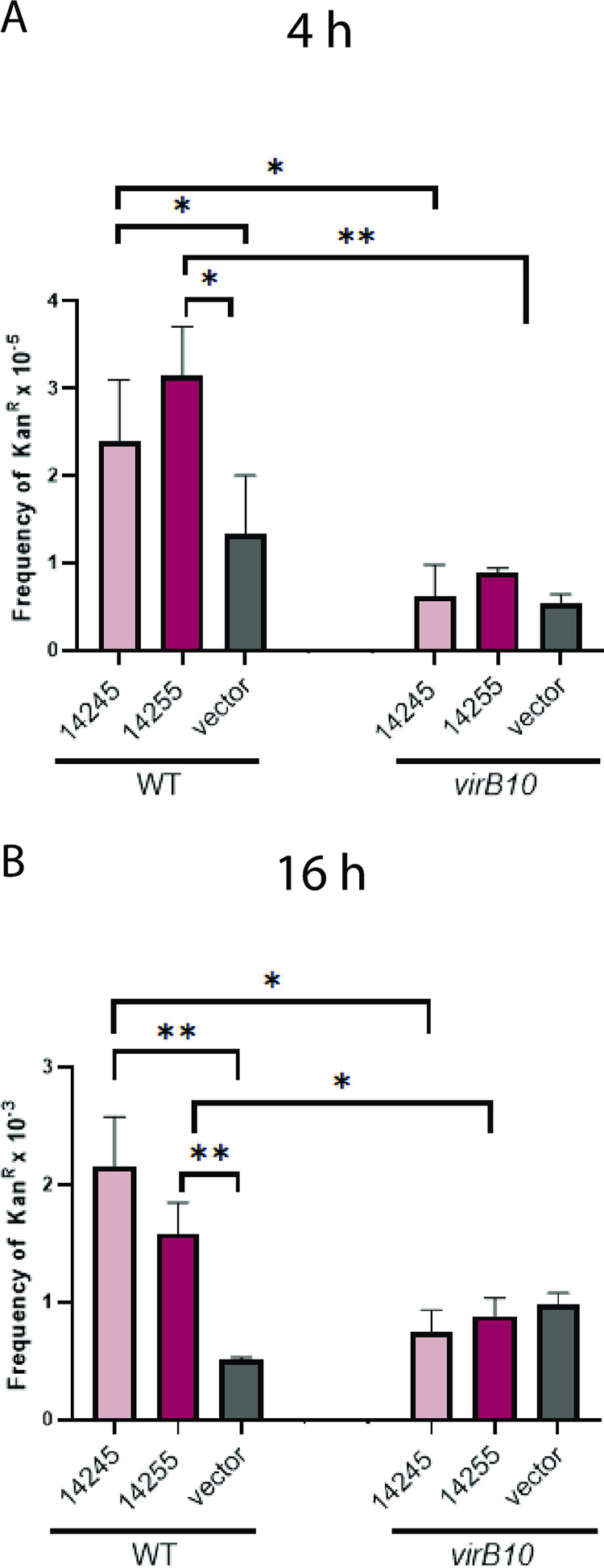 FIG 6