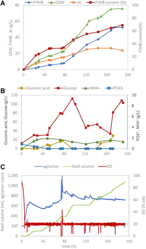 FIGURE 2