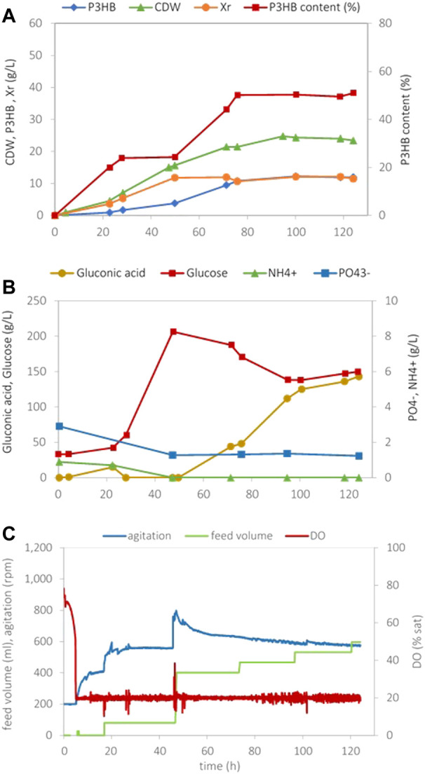 FIGURE 3