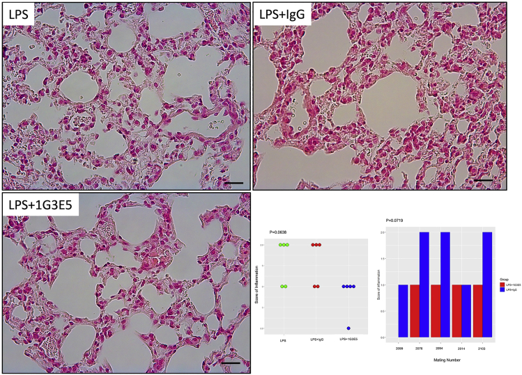 Figure 6