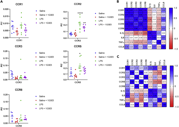 Figure 5