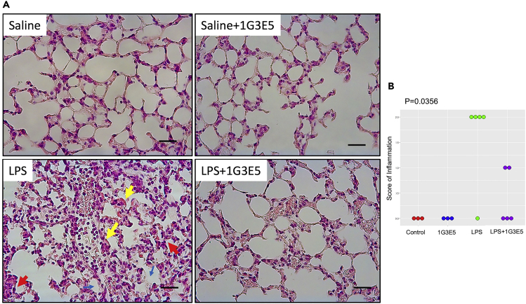 Figure 3