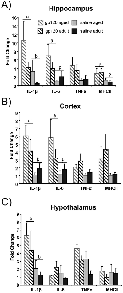 Figure 3: