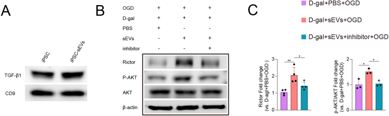 Fig. 7