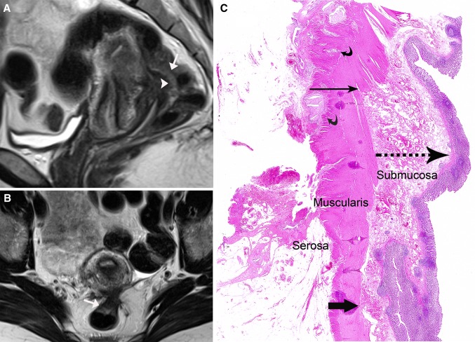 Fig. 3