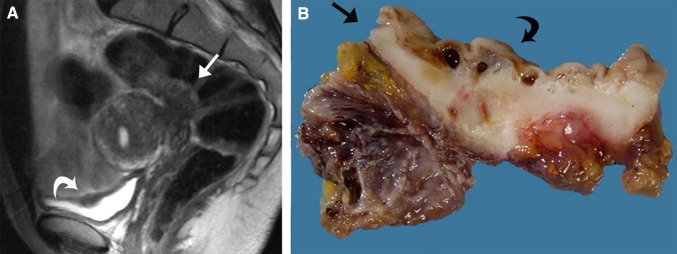 Fig. 4