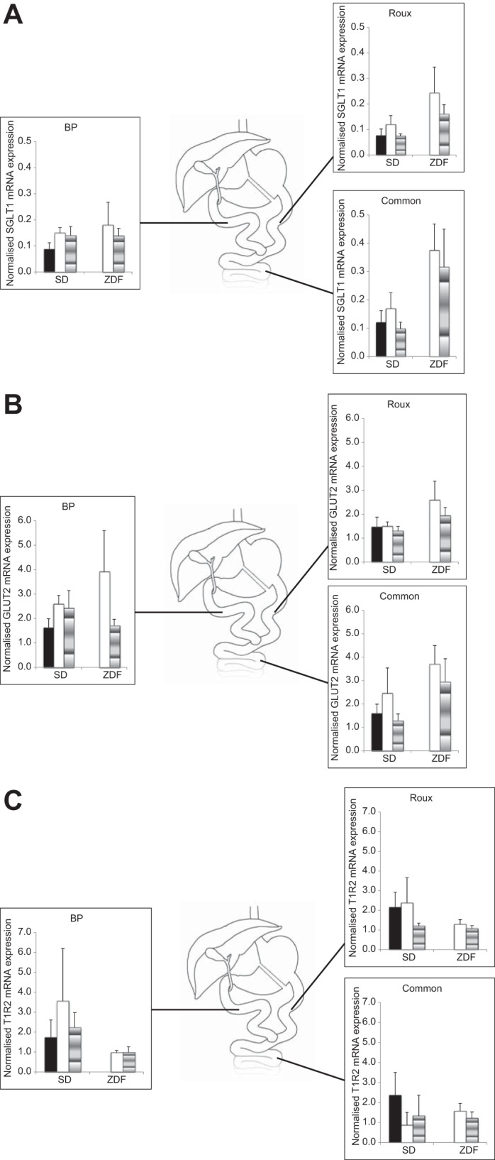 Fig. 3.