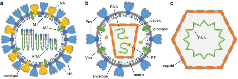 Figure 1: