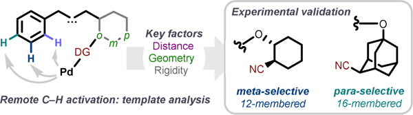 graphic file with name nihms-1809848-f0001.jpg