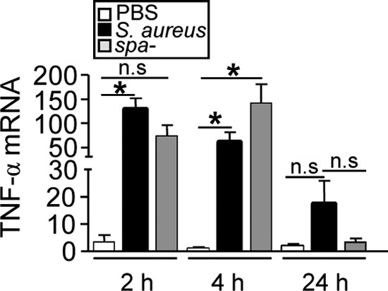 Fig 5