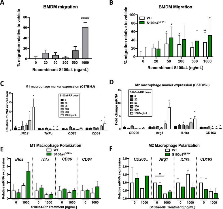 Figure 4—figure supplement 2.