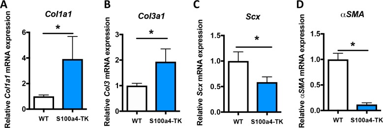 Figure 6—figure supplement 1.