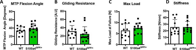 Figure 2—figure supplement 1.