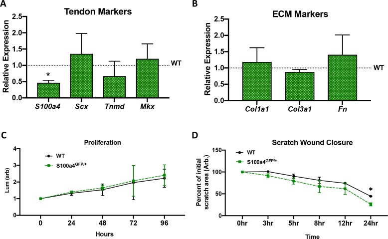 Figure 4—figure supplement 3.