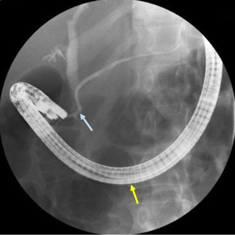 Figure 7: