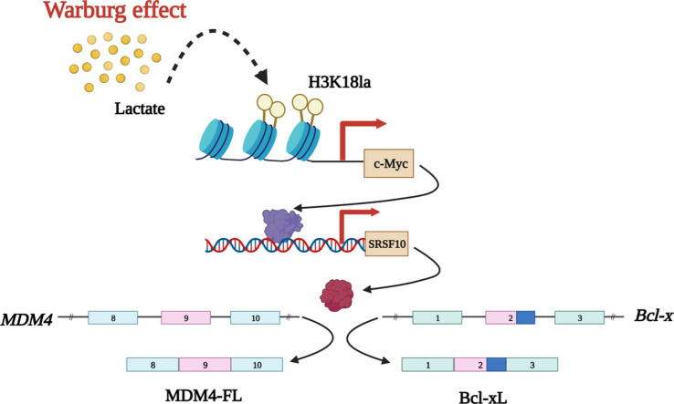 Image, graphical abstract