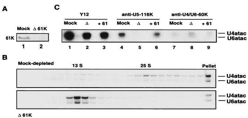 FIG. 5.