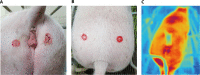 Fig. 4.