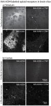 Figure 4—figure supplement 1.