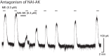 Figure 7—figure supplement 1.