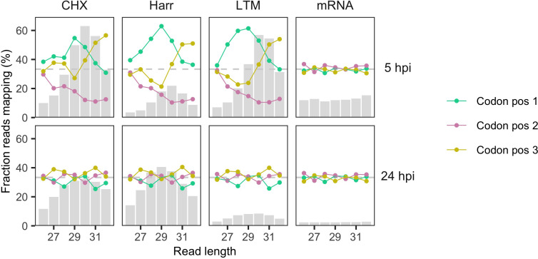 Figure 2—figure supplement 3.