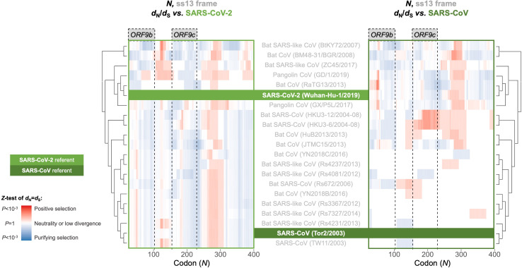 Figure 6—figure supplement 1.