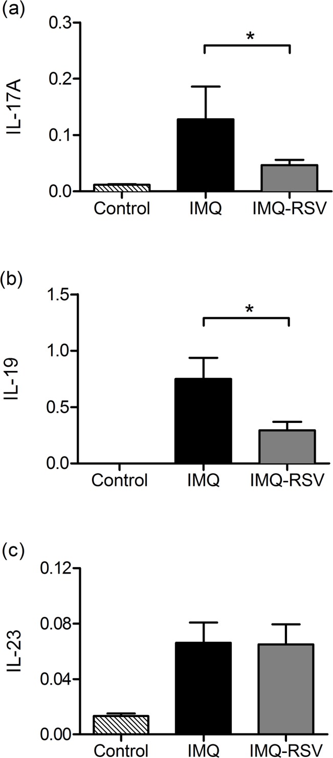 Fig 5