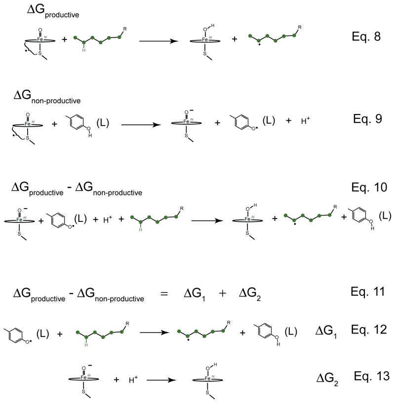 Figure 8