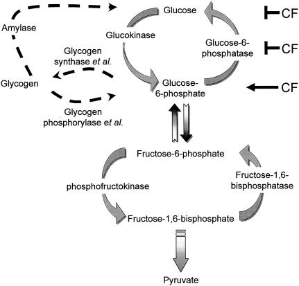 FIG. 7.