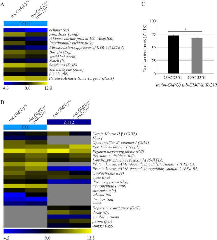 Fig 12