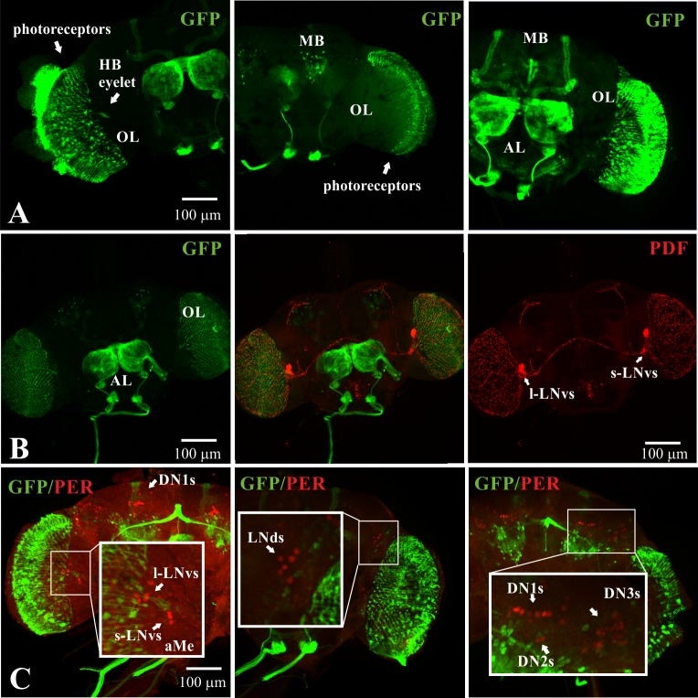 Fig 3