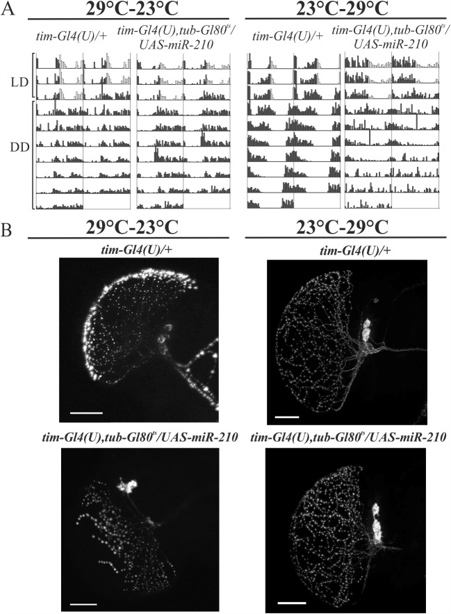 Fig 9