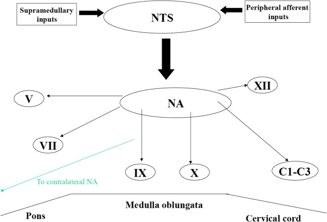 Fig. 2