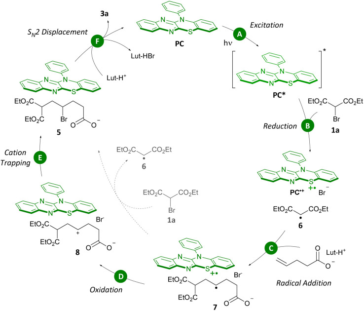 Scheme 8