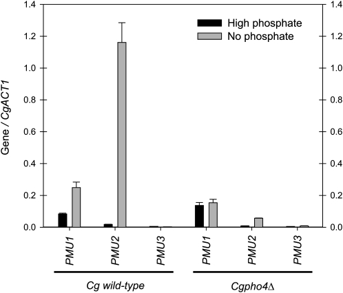 Figure 4.—