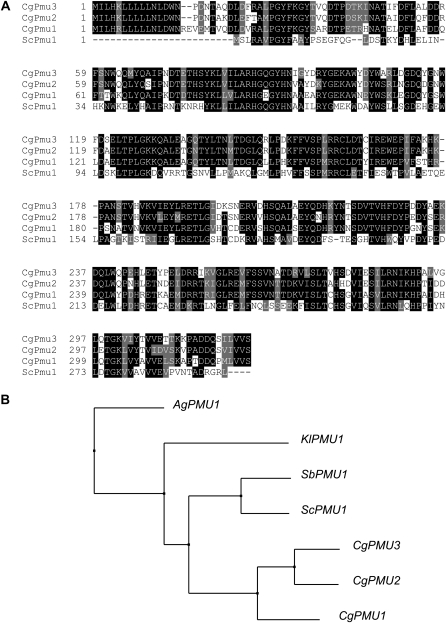 Figure 2.—