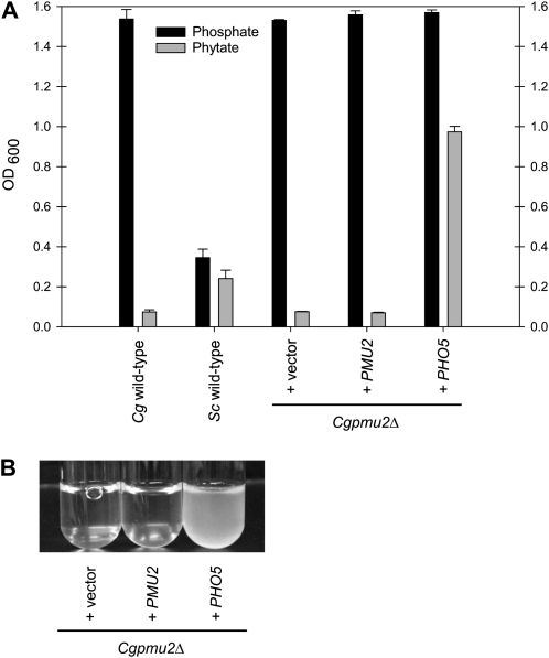 Figure 7.—