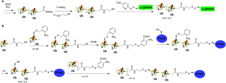 Fig. 10