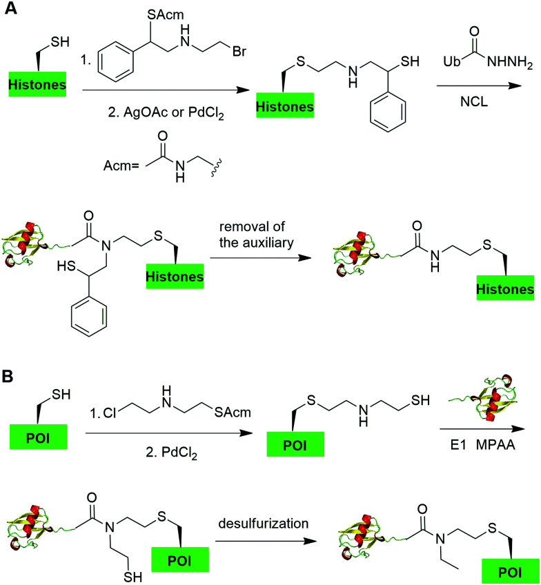 Fig. 16