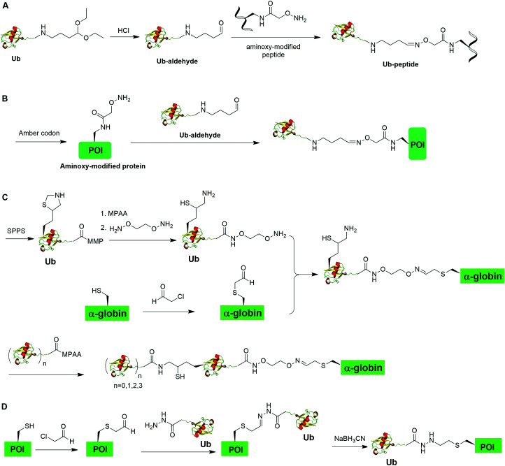 Fig. 13