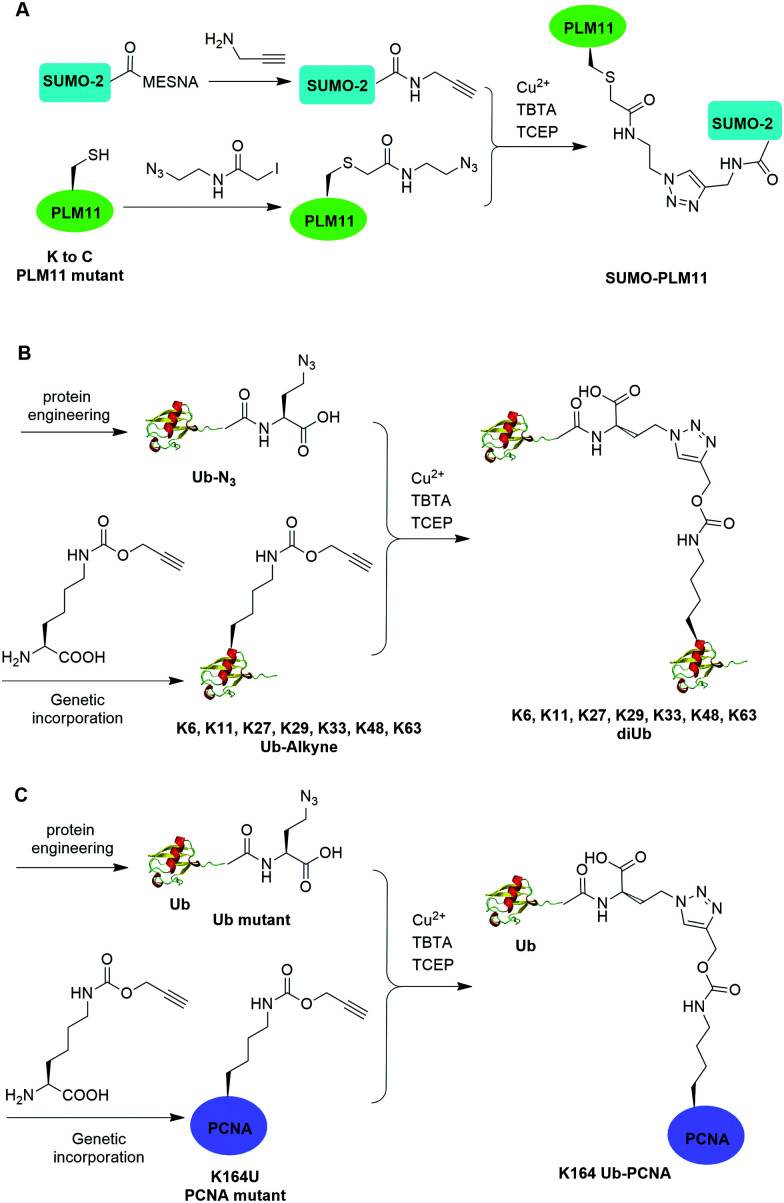 Fig. 11