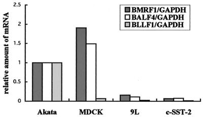 FIG. 6