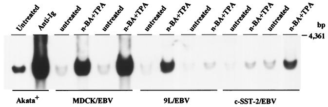 FIG. 7
