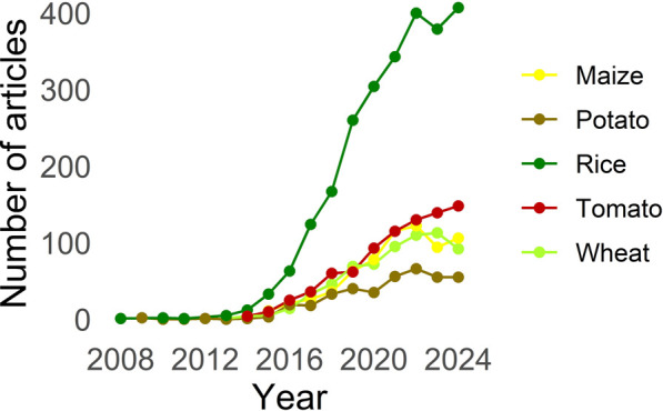 Line graph showing the number of articles from 2008 to 2024 for five crops: maize, potato, rice, tomato, and wheat. Rice articles have the steepest increase, reaching over 400. Tomato, maize, and wheat also rise steadily, while potato shows minimal growth.